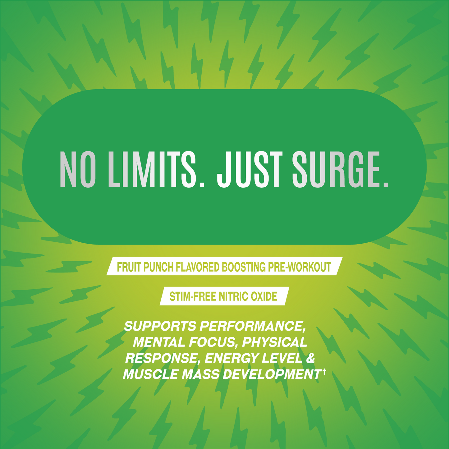 Nitric Surge Fruit Punch